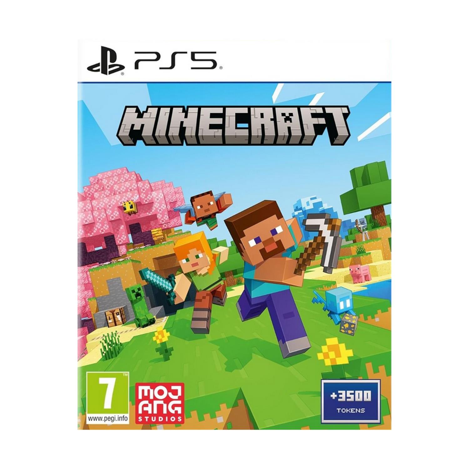 PS5 Minecraft